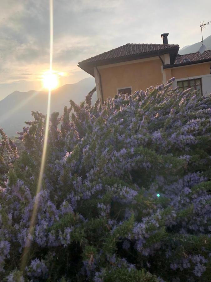 La Villa Degli Orti Borgo Valsugana エクステリア 写真